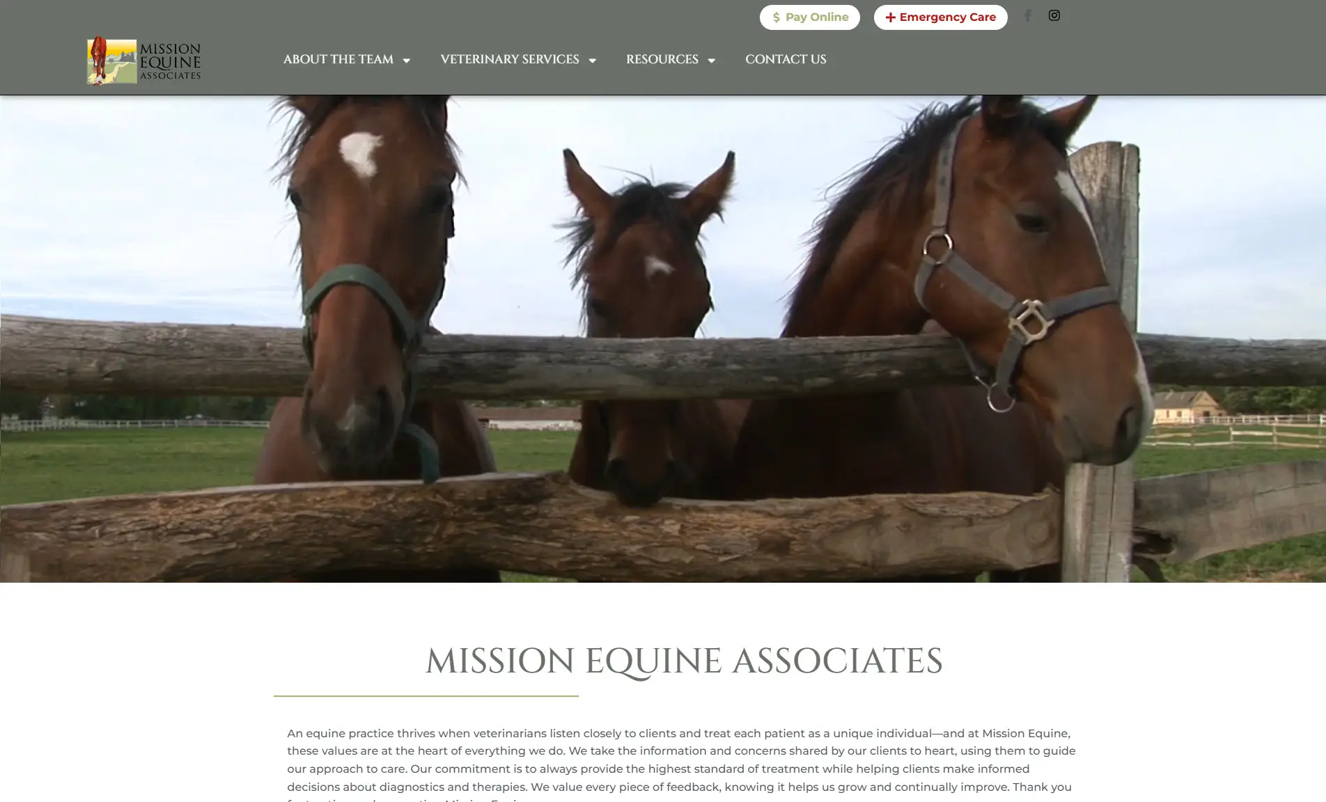 Case Study: Mission Equine – A Modern, Mobile-Ready Redesign Built for Growth